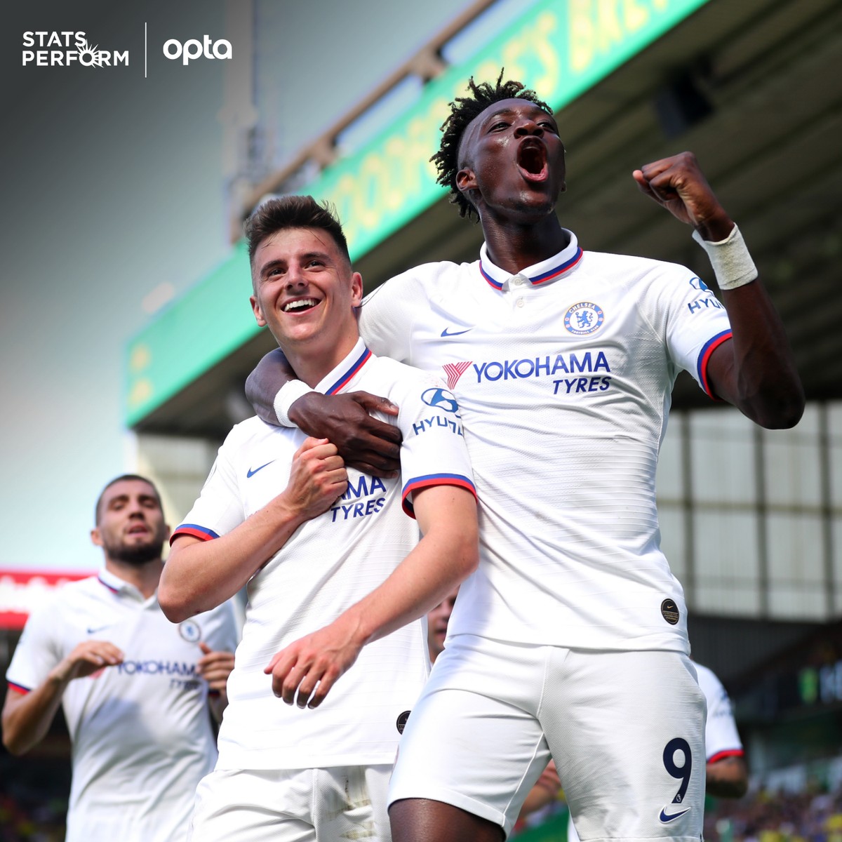 体型强壮 体型强壮